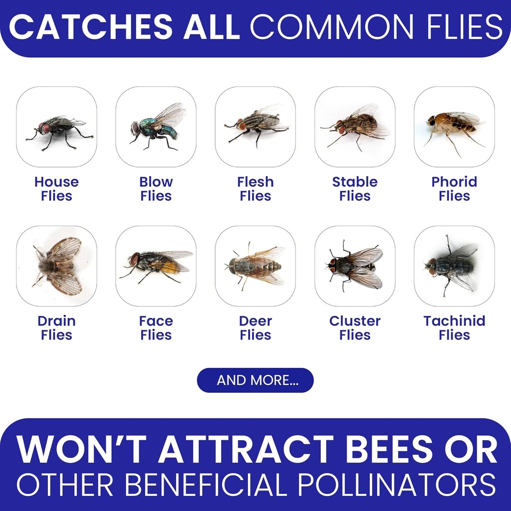 fly-traps-outdoor-fly-trap-for-patio-4-n-2.jpg