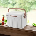 insulated-cooler-box-ice-box-personal-po-2.jpg