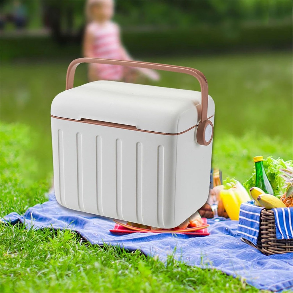 insulated-cooler-box-ice-box-personal-po-4.jpg