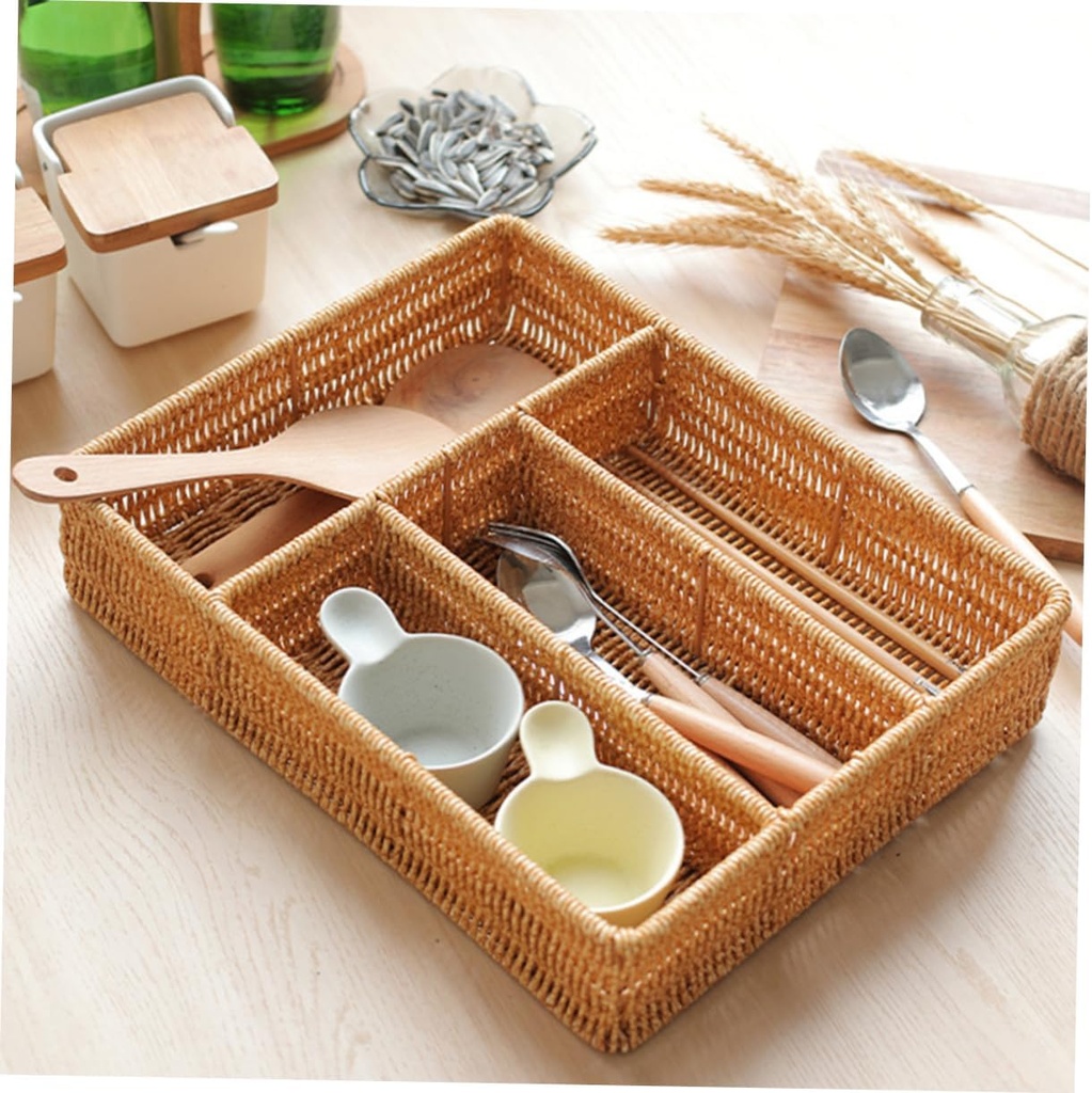 portable-divided-storage-tray-stylish-or-4.jpg