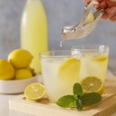 fish-manual-lemon-juicer-food-grade-stai-5.jpg