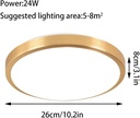 gold-led-ceiling-light-modern-24w-flush--4.jpg