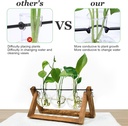 plant-propagation-station-plant-terrariu-2.jpg