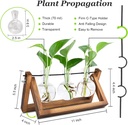 plant-propagation-station-plant-terrariu-3.jpg