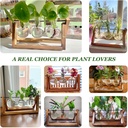 plant-propagation-station-plant-terrariu-5.jpg