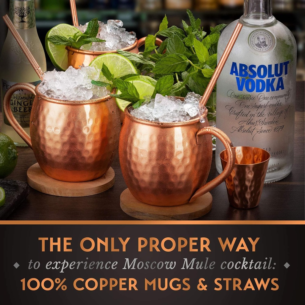 gift-set-moscow-mule-mugs-set-of-4-16-oz-5.jpg