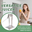 professional-lemon-smasher-citrus-juicer-2.jpg