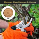 pruning-shears-for-gardening-gardening-t-6.jpg
