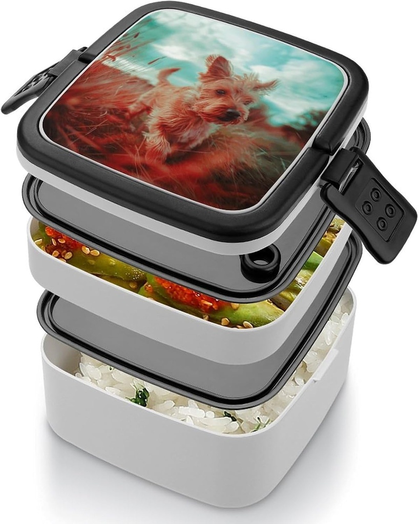 musm-double-layer-lunch-box-with-handle--4.jpg