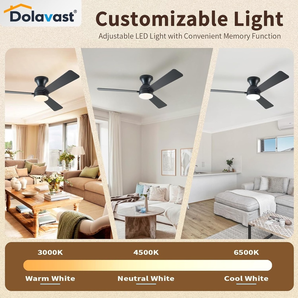 ceiling-fans-with-lights-48-inch-low-pro-5.jpg