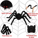 halloween-spider-decorations-6-pack-gian-2.jpg