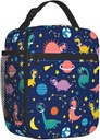 dinosaur-dino-fun-lunch-bag-insulated-lu-2.jpg