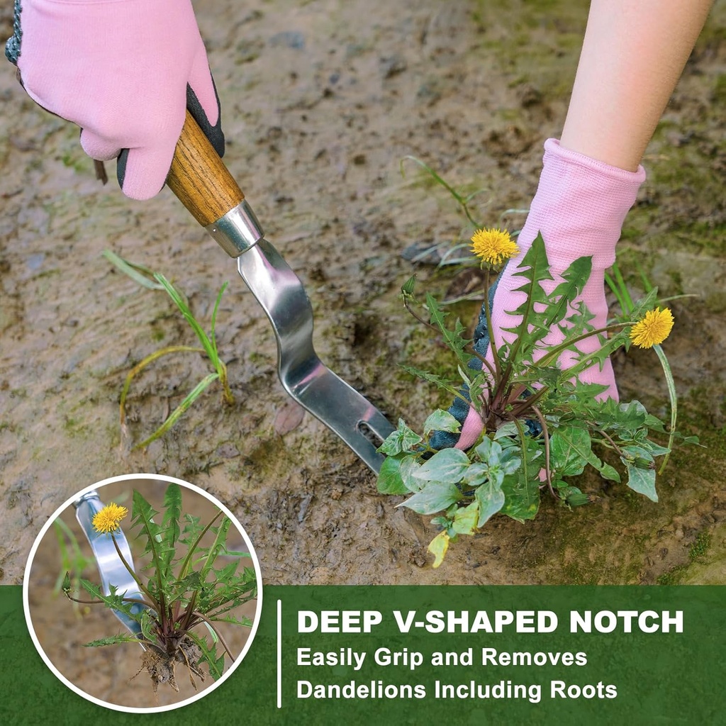 weed-puller-tool-hand-weeder-with-good-l-2.jpg