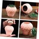ounona-ceramic-strawberry-tea-canister-w-4.jpg