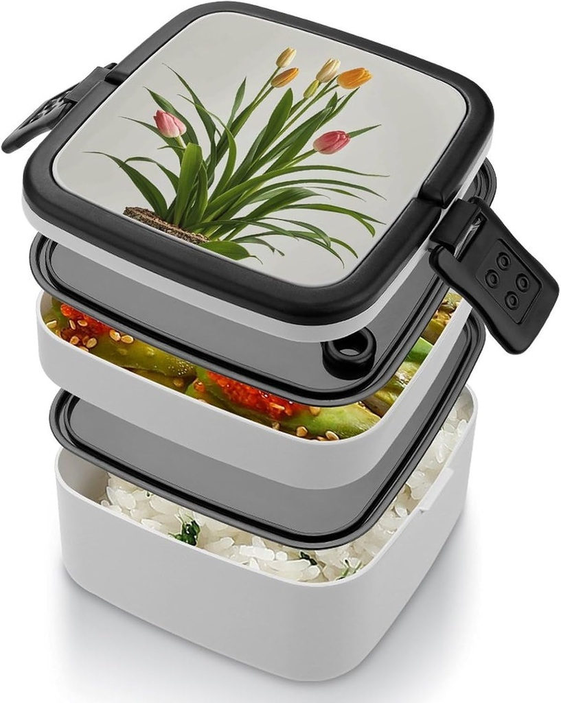 bento-lunch-box-for-women-lunch-containe-4.jpg