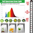 plant-grow-lights-for-indoor-plants-full-3.jpg