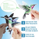 eersida-16-pcs-hummingbird-magnets-for-s-3.jpg