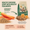 hatortempt-chicken-feed-dried-mealworms--2.jpg