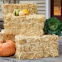floracraft-decorative-straw-bale-8-inch--5.jpg
