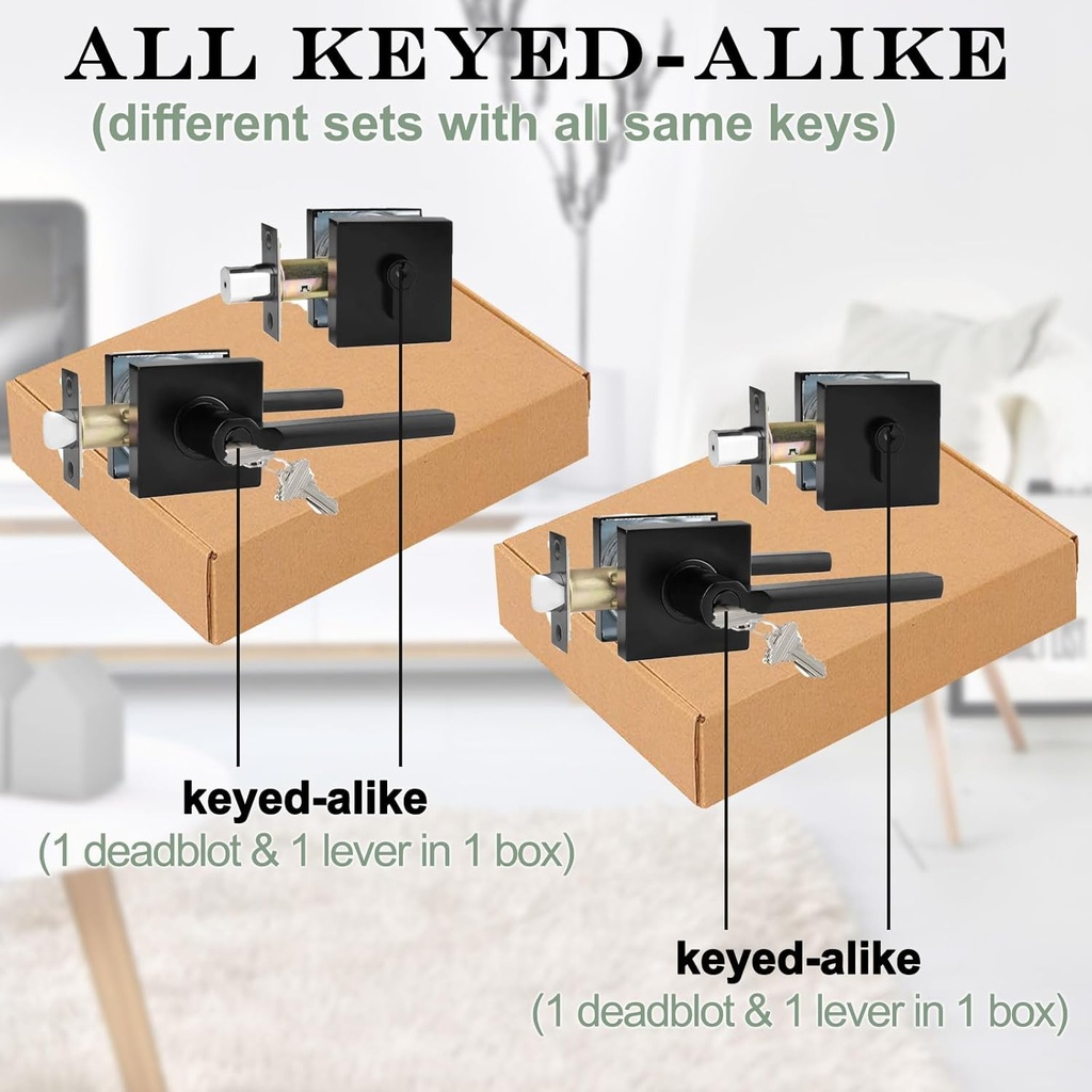 keyed-alikeall-same-keys-keyed-entry-doo-4.jpg