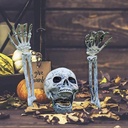 halloween-skeleton-stakes-decorations-re-2.jpg