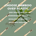 biodegradable-eco-friendly-natural-bambo-5.jpg