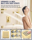 dual-rainfall-shower-head-system-with-4--4.jpg