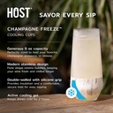 host-freeze-champagne-flutes-shatterproo-2.jpg