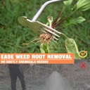 weed-puller-tool-portable-weed-remover-t-2.jpg