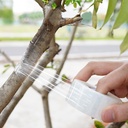 6-pcs-plant-tapeparafilm-grafting-tape-f-3.jpg