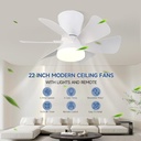 ceiling-fans-with-lights-22-inch-low-pro-2.jpg
