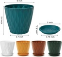 6-inch-plant-pots-5-pack-flower-pots-out-2.jpg
