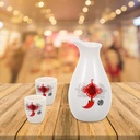 1-set-wine-set-saki-drinking-bottle-nove-2.jpg