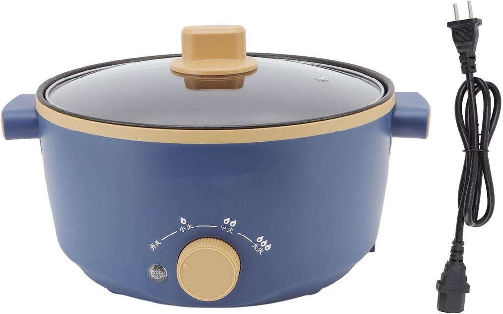 electric-hot-pot-electric-cooker-25l-800-2.jpg