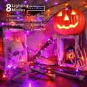 brizled-purple-orange-halloween-lights-9-2.jpg