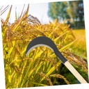 manganese-steel-long-handle-hand-scythe--2.jpg