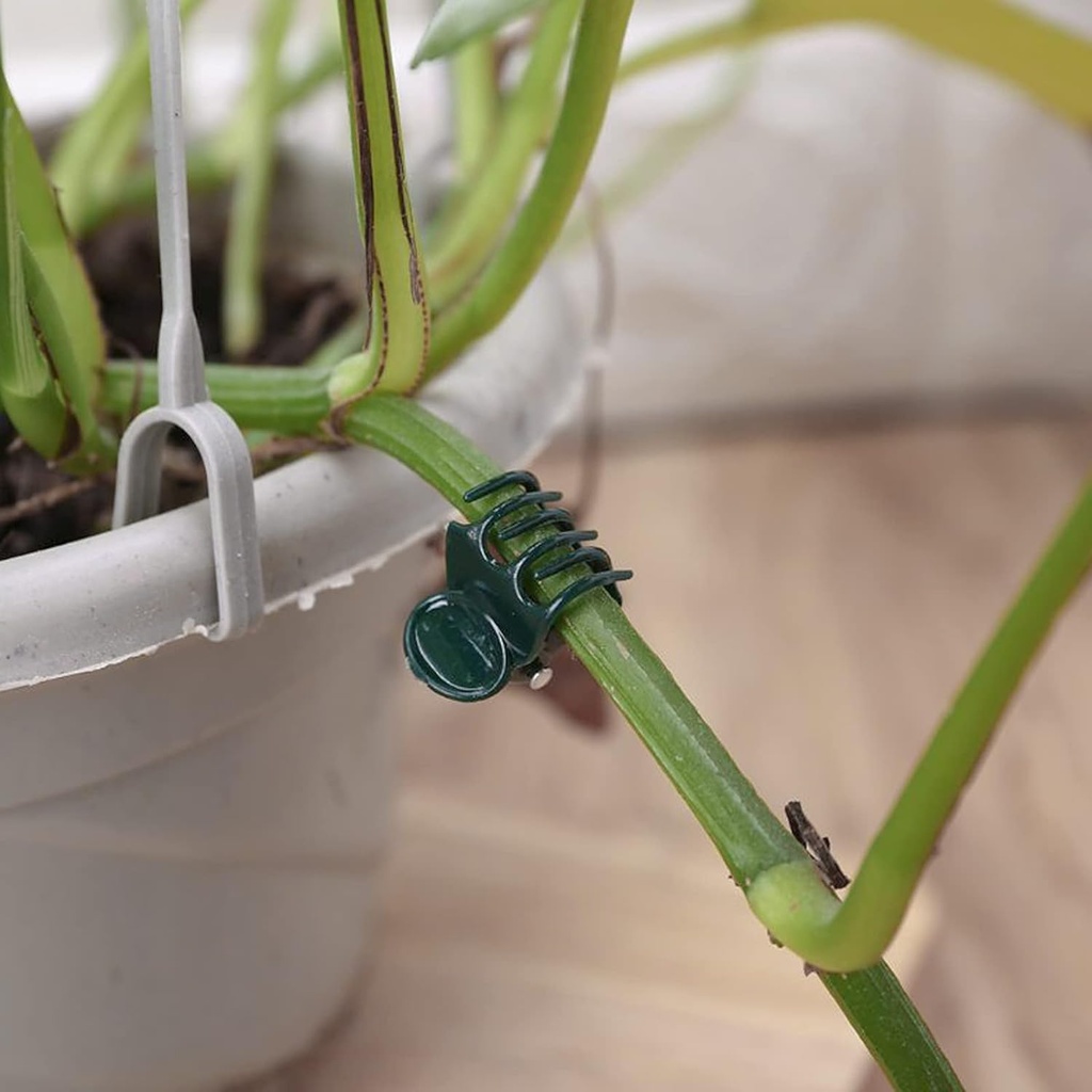 accencyc-100-pcs-plant-clips-orchid-clip-4.jpg