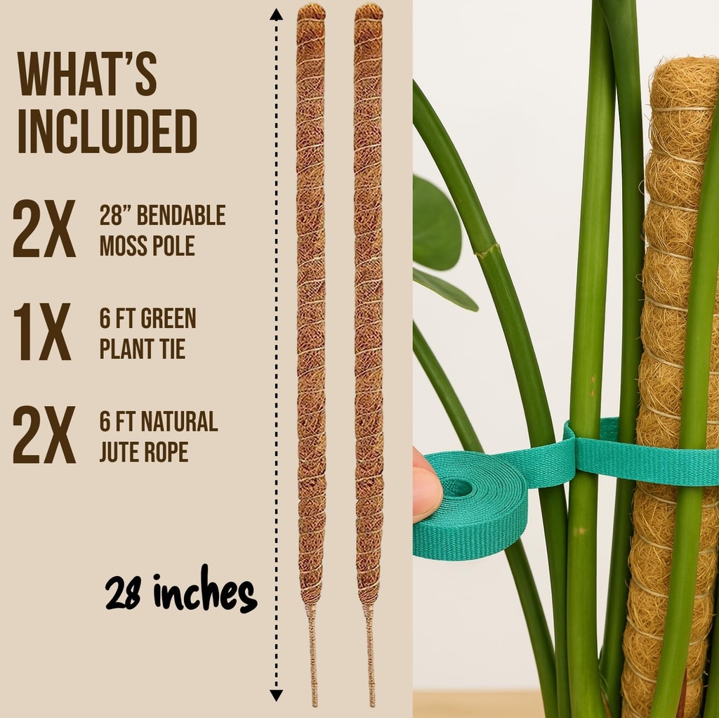 moss-pole-monstera-plant-support-2-pack--4.jpg