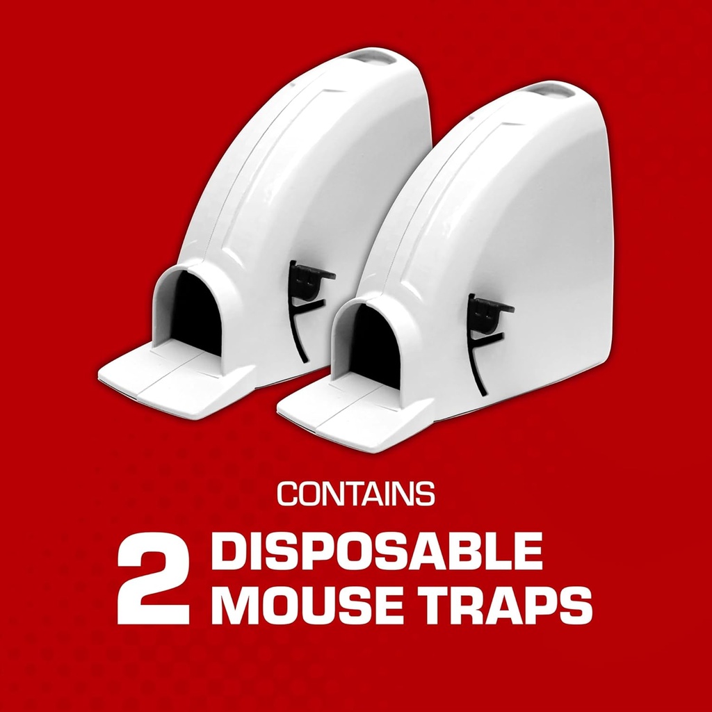 tomcat-kill-contain-mouse-trap-never-see-2.jpg