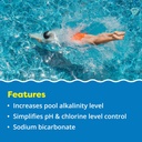 in-the-swim-alkalinity-increaser-for-swi-4.jpg