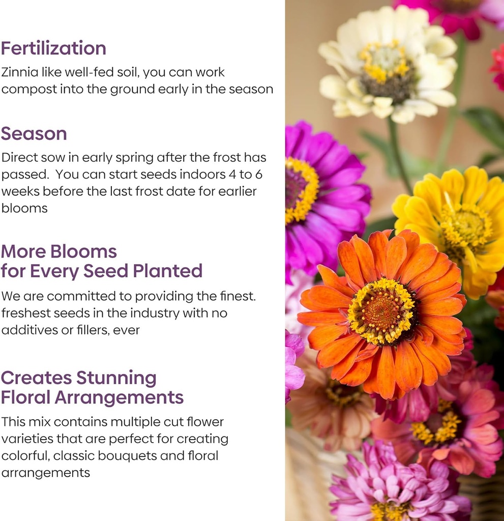 zinnia-seeds-mix-1-oz-over-3000-flowers--4.jpg