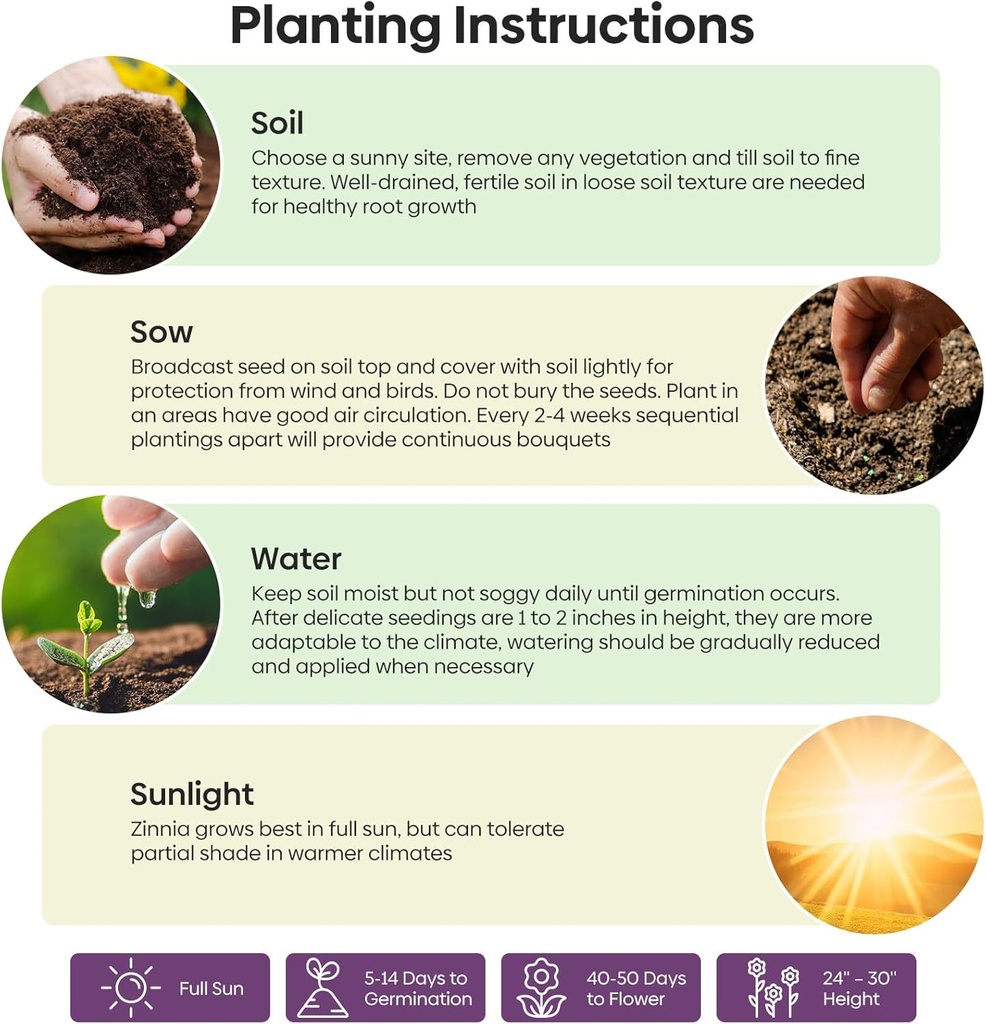 zinnia-seeds-mix-1-oz-over-3000-flowers--6.jpg