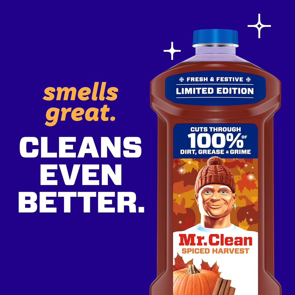 mr-clean-all-purpose-cleaner-cleaning-li-6.jpg