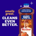 mr-clean-all-purpose-cleaner-cleaning-li-6.jpg