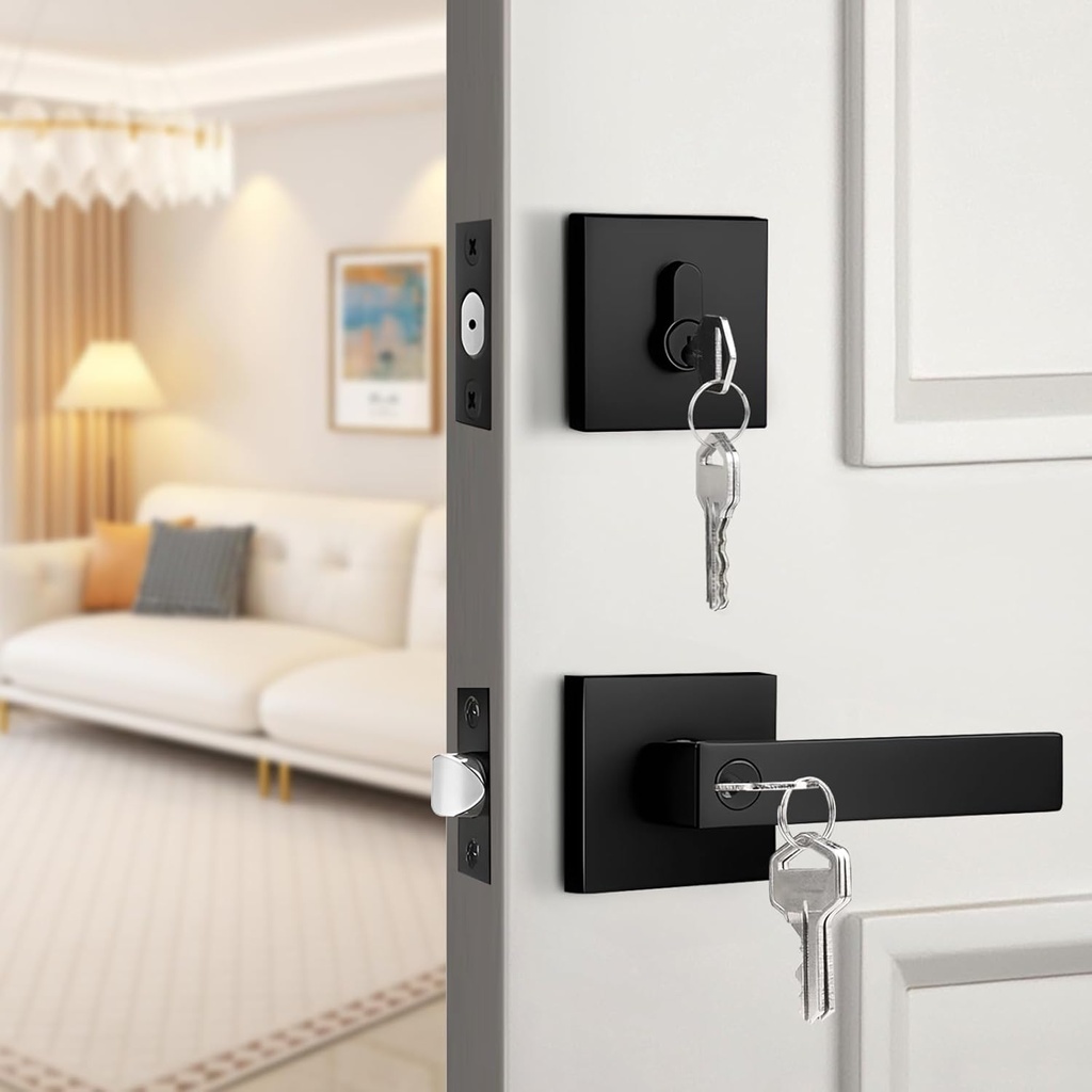 probrico-matte-black-exterior-door-locks-4.jpg