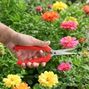 2-pcs-extra-long-pruning-scissors-stainl-6.jpg