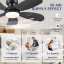 phorus-42-black-low-profile-ceiling-fans-5.jpg