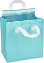 restaurantware-insulated-take-away-bags--2.jpg
