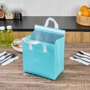 restaurantware-insulated-take-away-bags--3.jpg