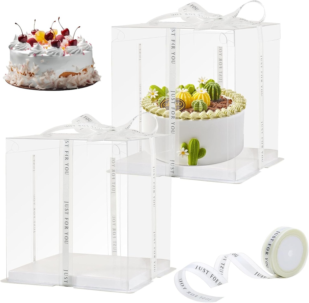 8-pcs-clear-cake-box-with-ribbon-2-layer-3.jpg